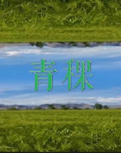 [青稞][全3集] [国语配音/中文字幕][1080P]