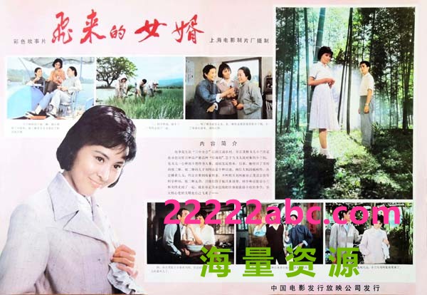 [1982] [飞来的女婿][rmvb] [364MB]