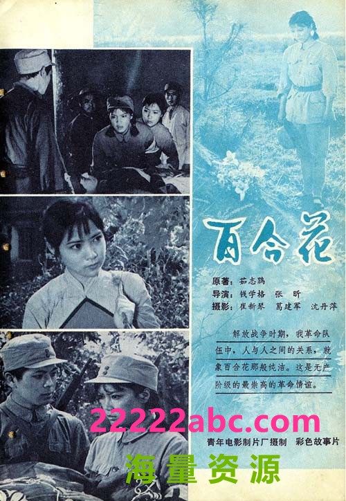 [1981] 《百合花》[mp4][1.16GB]