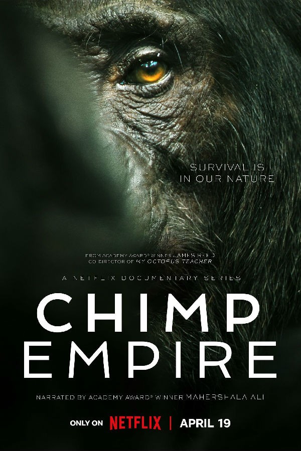 [黑猩猩帝国 Chimp Empire 第一季][全04集][英语中字]