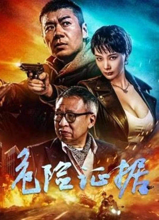 2024动作《危险证据》4K.HD国语中字