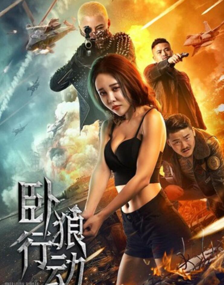 2023动作《卧狼行动》1080p.HD国语中字