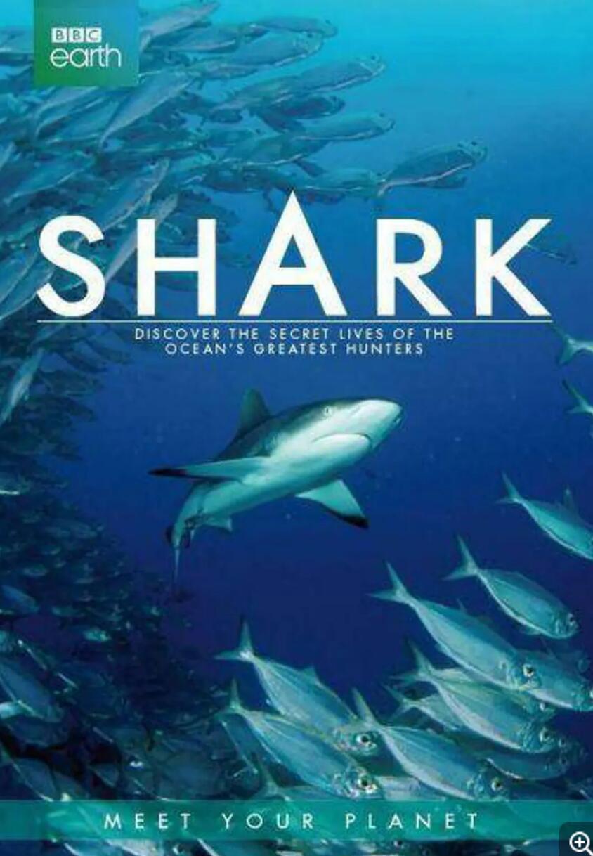 [BBC：Shark 鲨鱼 2015][全3集] [2015年][英音轨/内置中英字幕][MP4/720P/2.34G