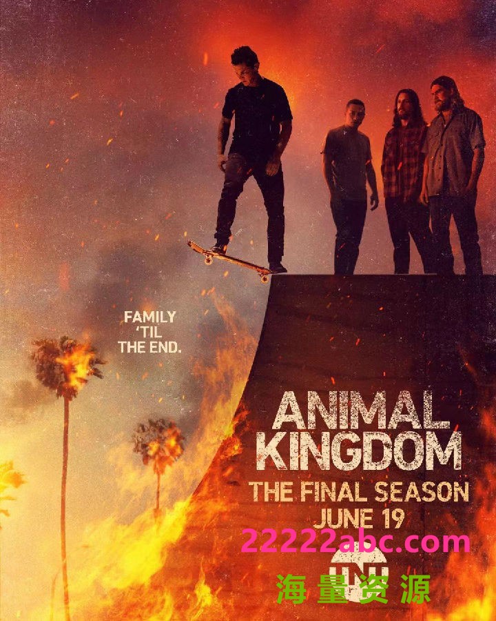 [动物王国/野兽家族/Animal Kingdom 第六季][全13集][英语中字]