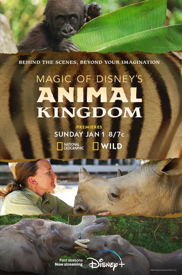 [迪士尼动物王国 Magic of Disneys Animal Kingdom 第二季][全10集][英语中字]