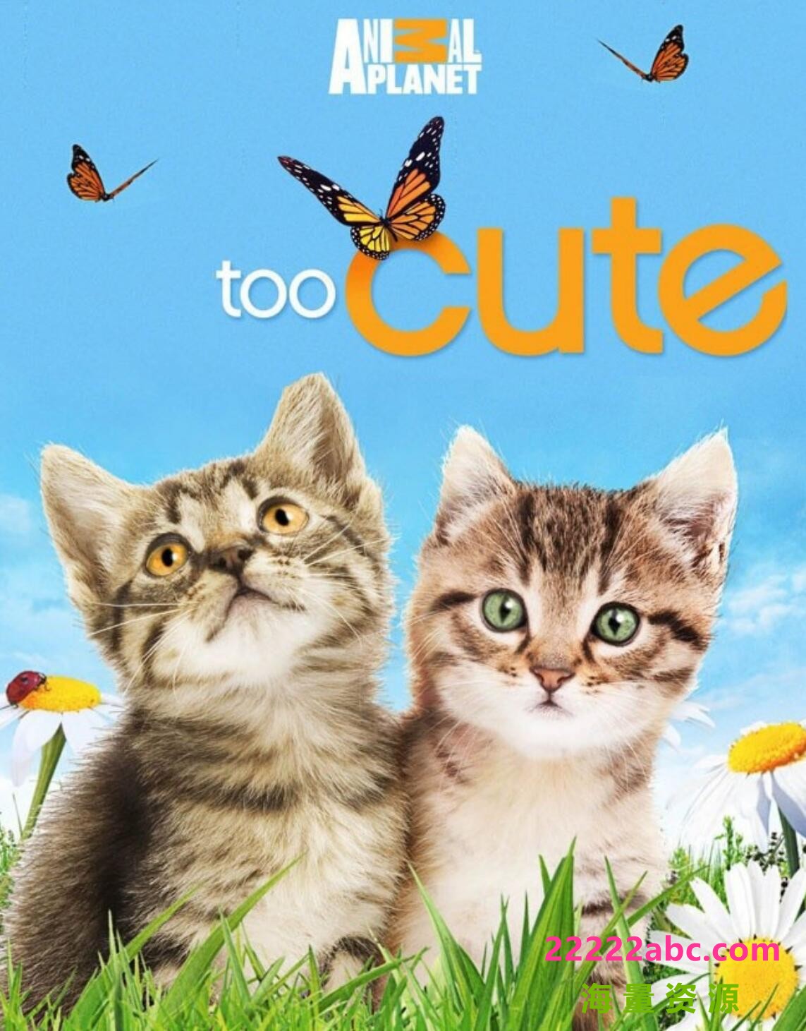 宠物纪录片《萌宠成长记 Too Cute》第1季 汉语中字