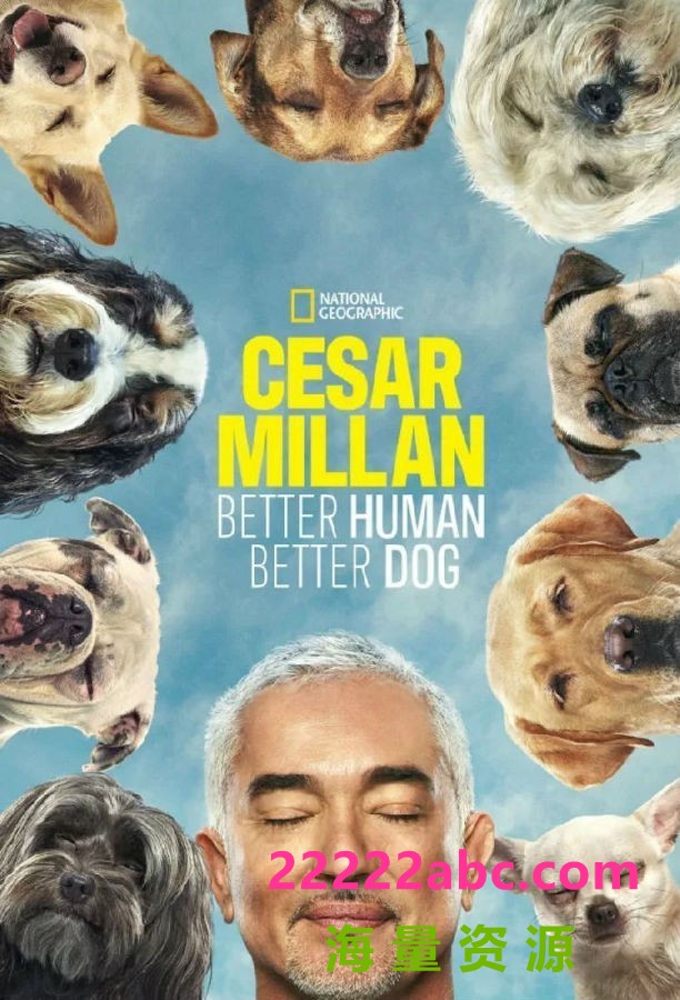 [西泽教官狗主人训练班 Cesar Millan 第二季][全12集][英语中字]