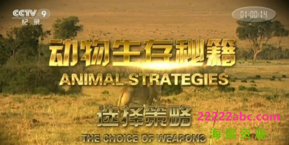 纪录片《动物生存秘籍 Animal Strategies》全6集 汉语中字 1080P高清