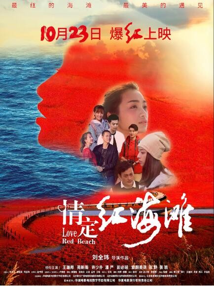 《情定红海滩》