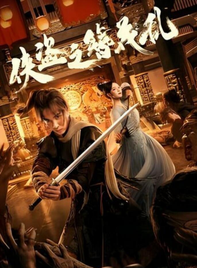 2023动作《侠盗之簪花乱》1080p.HD国语中字