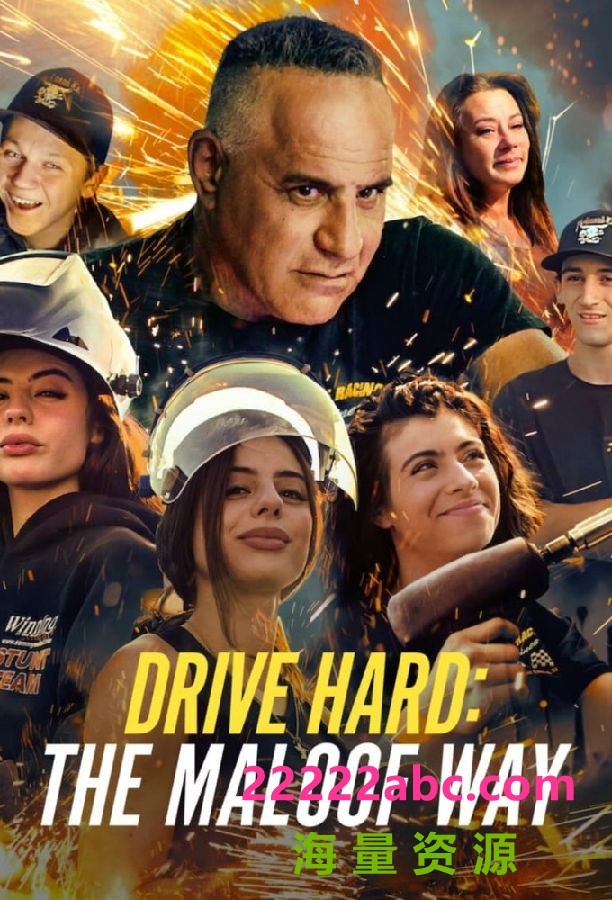 [努力驾驶：马洛夫之道 Drive Hard 第一季][全08集][英语中字]