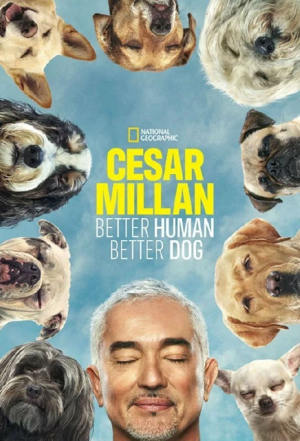 [西泽教官狗主人训练班 Cesar Millan 第三季][全12集][英语中字][1080P]