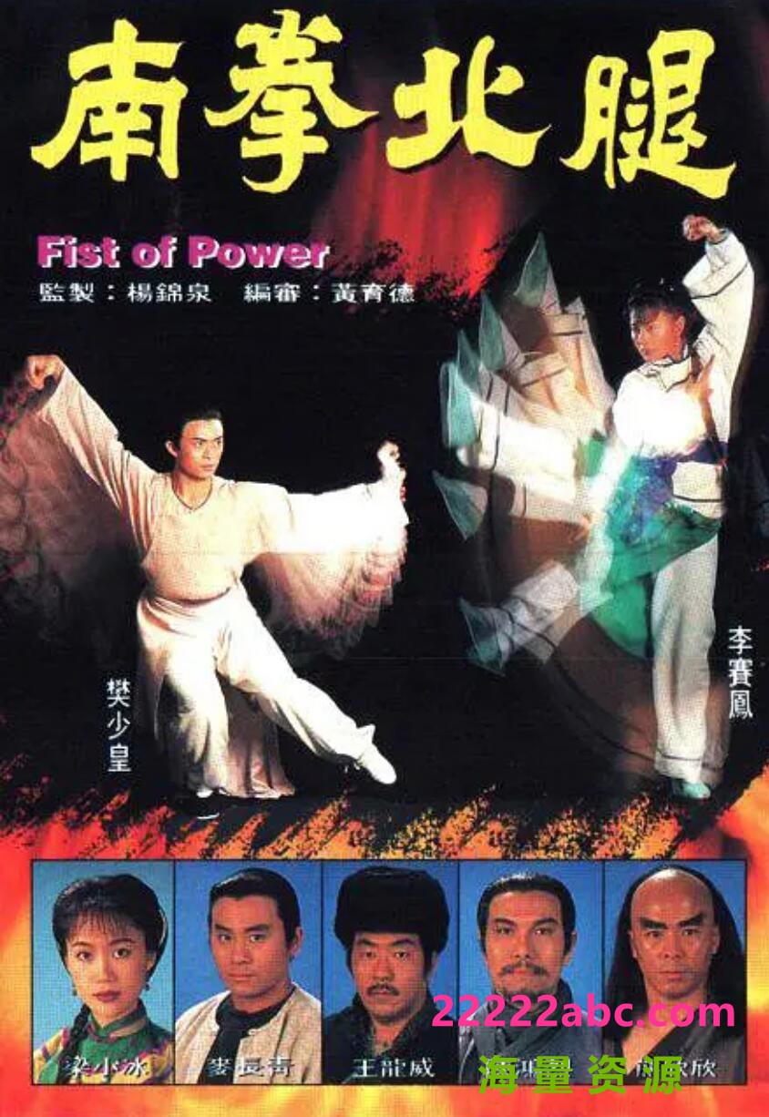 [南拳北腿][GOTV源码TS][720P高清/16.42G/每集840M]1995年[国语无字幕][网盘资源下载][梁小冰/李赛凤/樊少皇