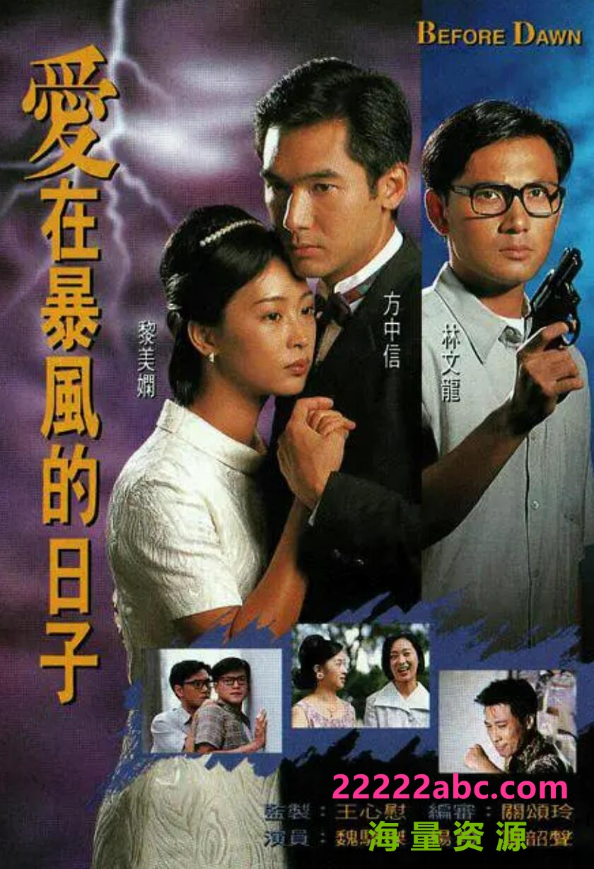 [爱在暴风的日子][GOTV源码TS][720P高清/16.49G/每集850M]1995年[国语无字幕][网盘资源下载]