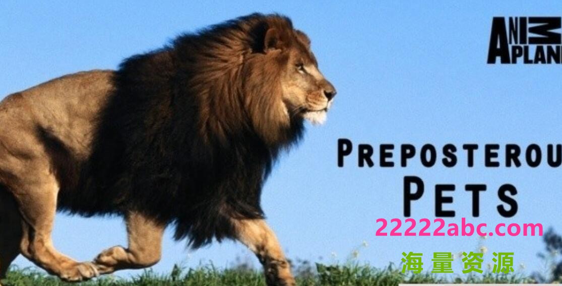 探索频道《宠物妙翻天 Preposterous Pets》全7集 720P高清