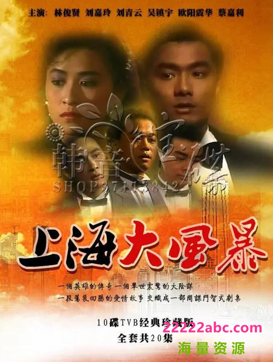 [上海大风暴][GOTV源码TS][720P高清/15.87G/每集820M]1988年[国语无字幕][网盘资源下载][林俊贤/刘嘉玲/吴镇