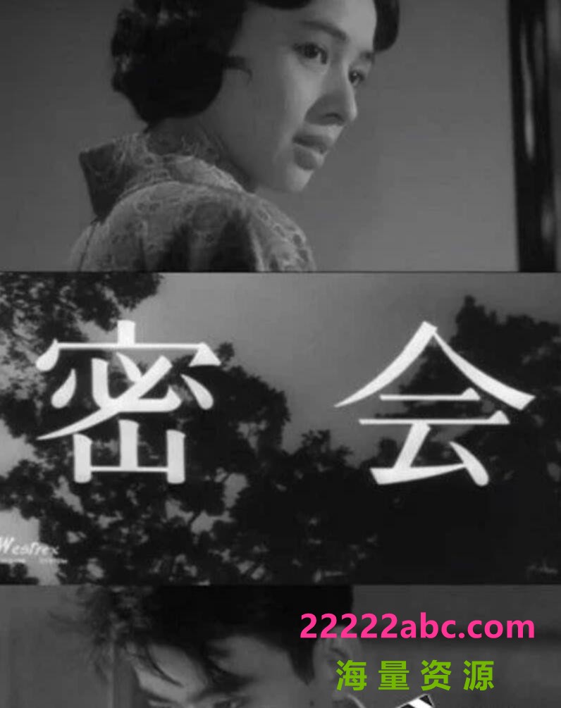  1959日本悬疑《密会》DVDRip.日语中字