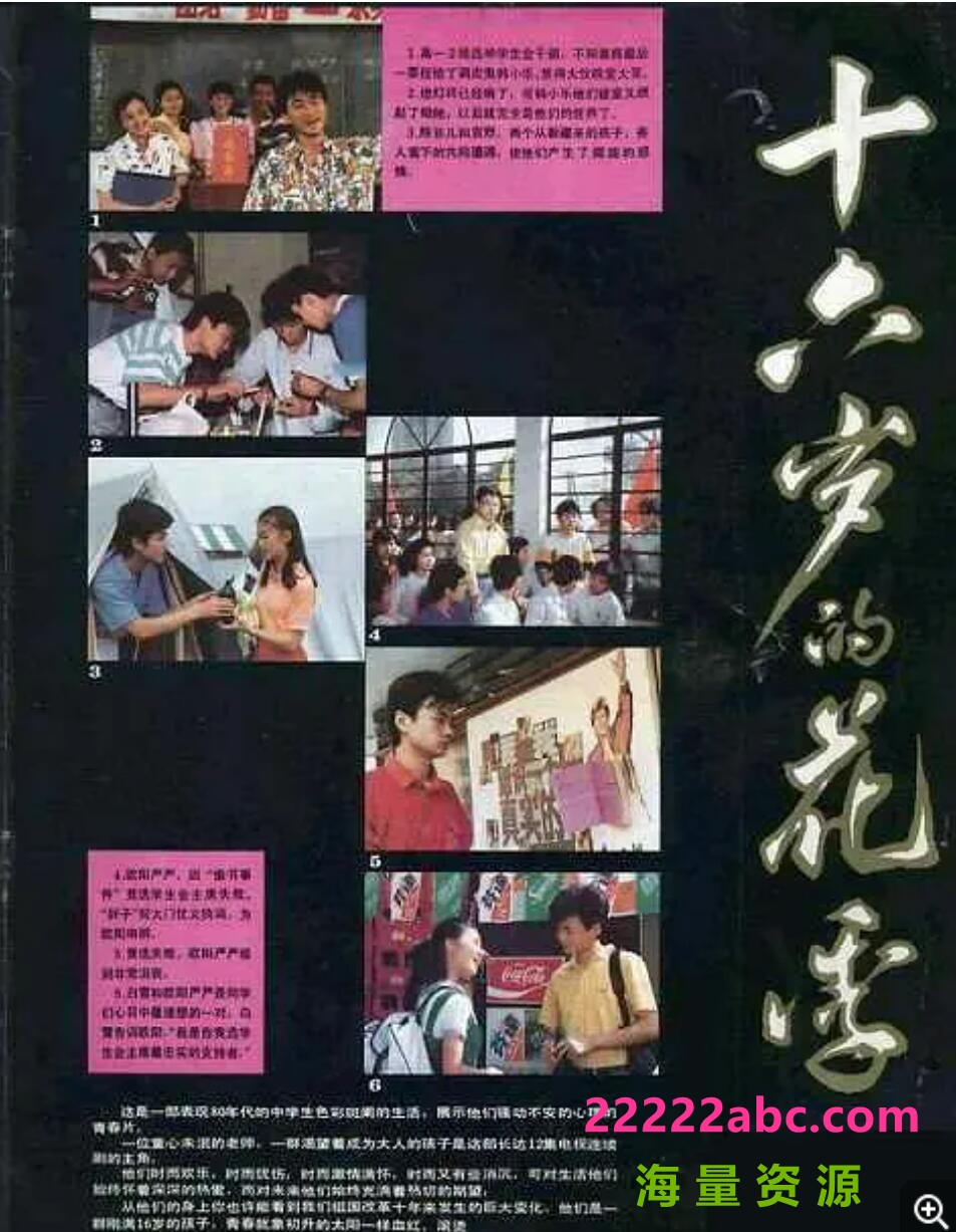 [1989年][十六岁的花季][国语无字珍藏版][12集全][RMVB/每集约150M]