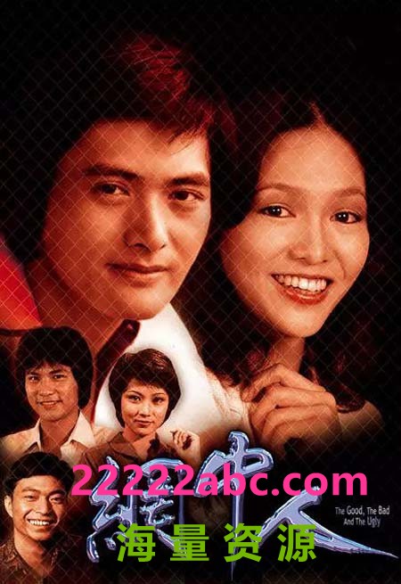 [DVD9-6碟][香港][1979][网中人I+II][国粤双语无字][VOB/46.3GB][周润发/郑裕玲/任达华]