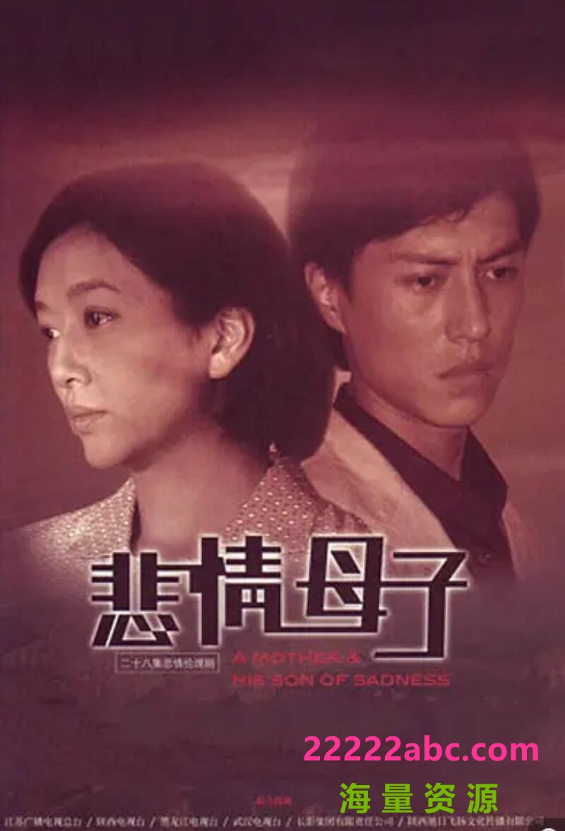 高清720P《悲情母子》电视剧 全28集 国语中字