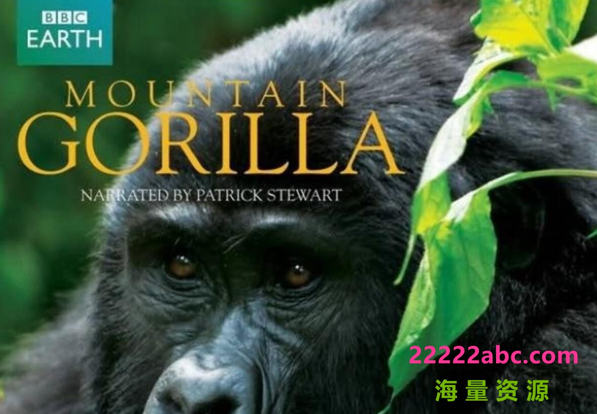 BBC纪录片《山地大猩猩 Mountain Gorilla》全3集 央视版 国语中字 720P高清