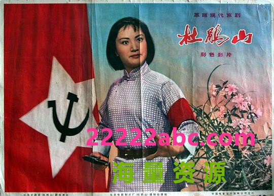 [杜鹃山（1974）] [mkv/2.46GB][中国大陆][480P][国语无字]