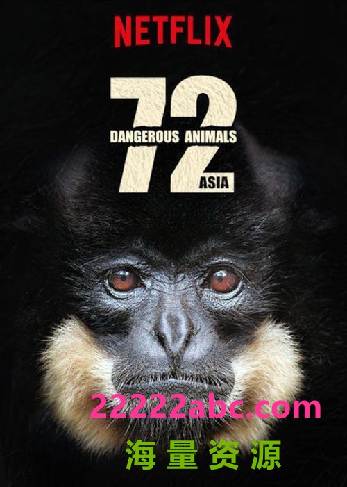 [72种危险动物：亚洲篇 72 Dangerous Animals][全12集][英语中字]