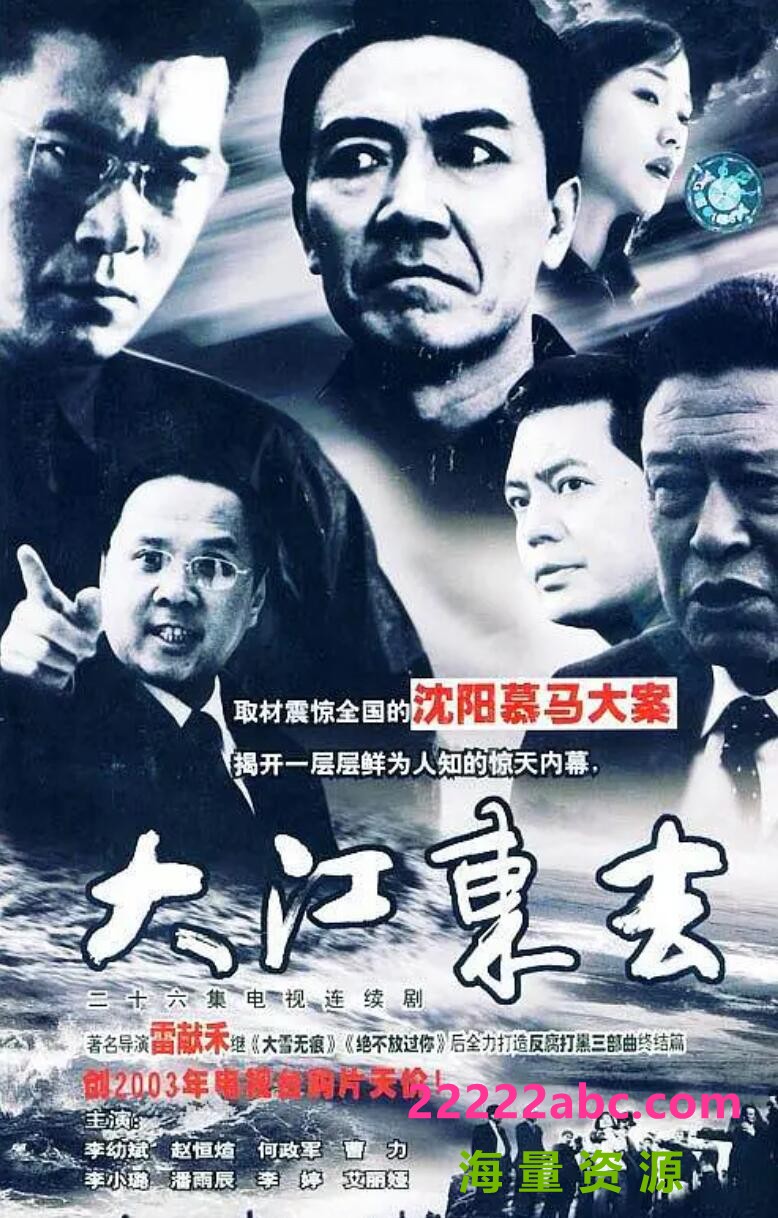 流畅480P《大江东去2003版》电视剧 全26集