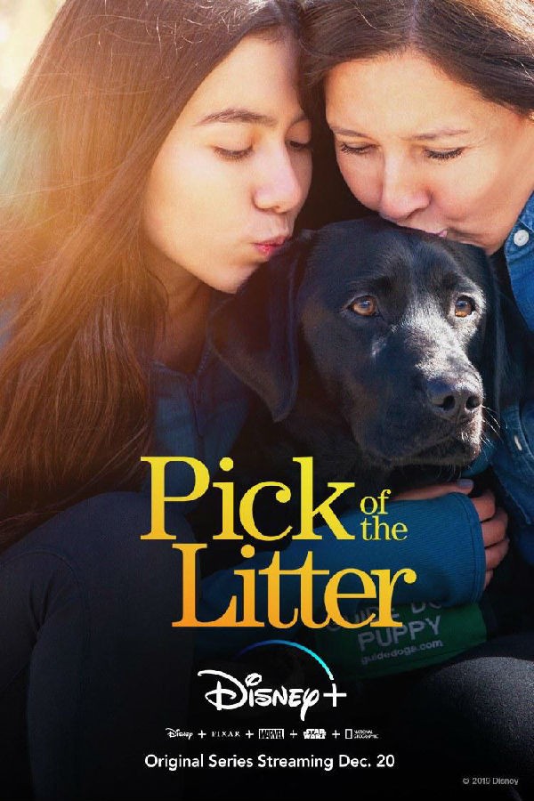 [崽之抉择 Pick of the Litter 第一季][全06集]