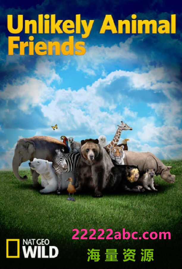 [不可思议的好朋友 Unlikely Animal Friends 第一至三季][全03季][英语中字]