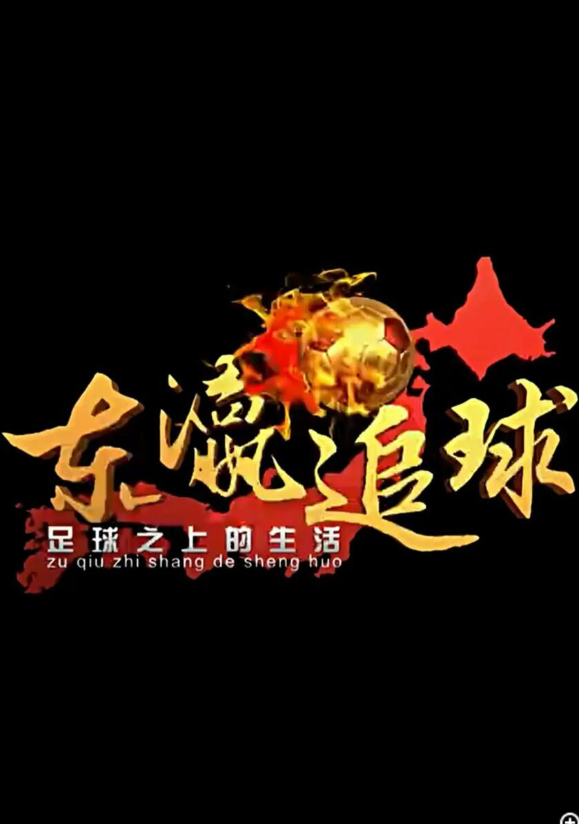 [东瀛追球][12集全][][中国内地][2016][每集约20-50M][国语中字][480P]