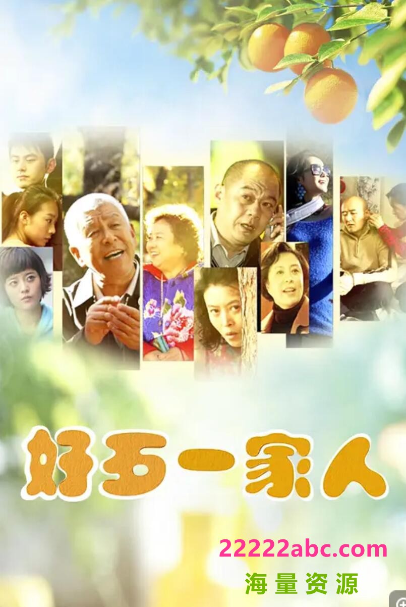 超清1080P《好歹一家人》电视剧 全29集 国语中字