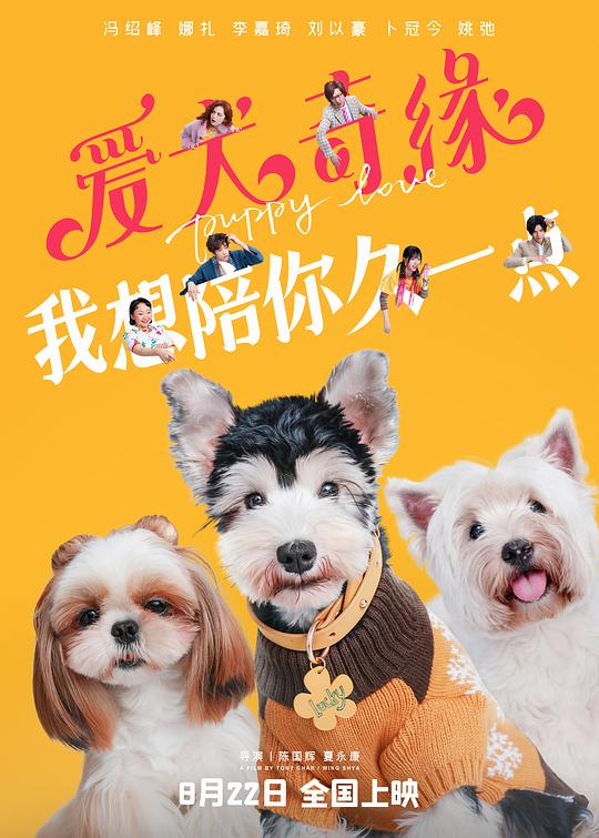 2023爱情喜剧《爱犬奇缘》1080p.HD国语中字