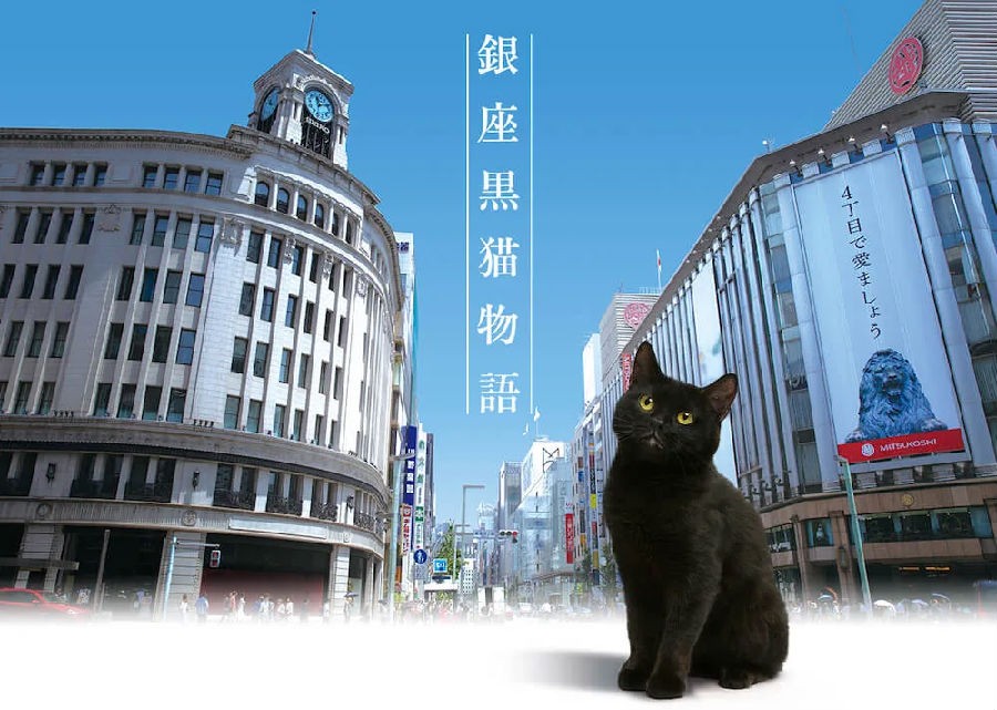 [银座黑猫物语][全集]