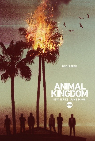 [动物王国/野兽家族/Animal Kingdom 第一季][全10集]