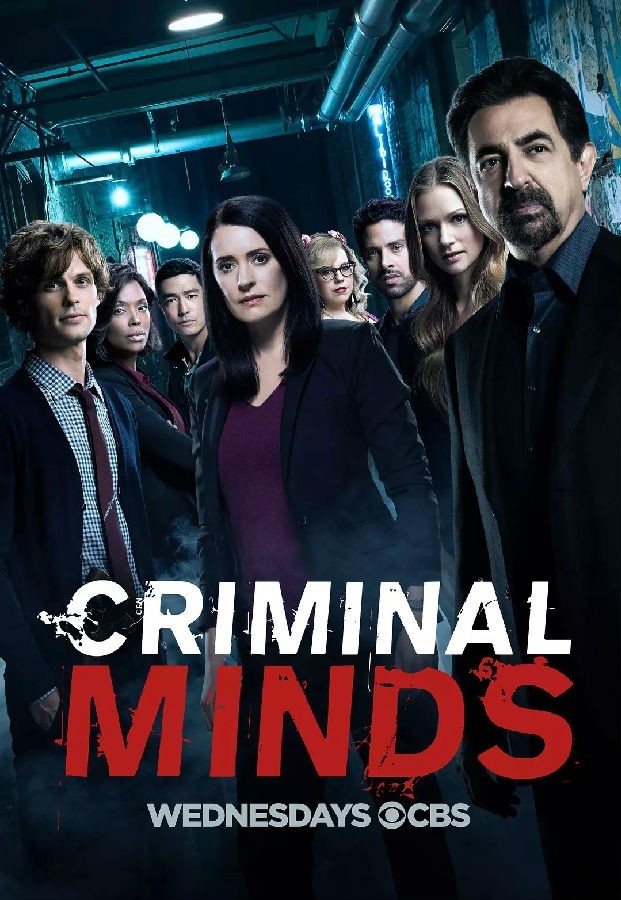 [犯罪心理/Criminal Minds 第十三季][全22集]