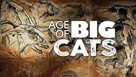 [大猫时代/Age of Big Cats 第一季][全03集]