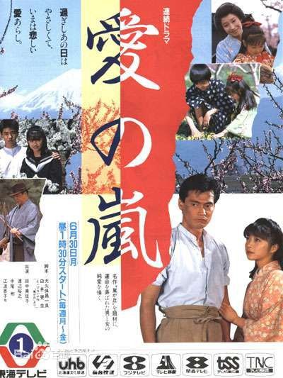 [爱之岚/愛の嵐 1986][全集]