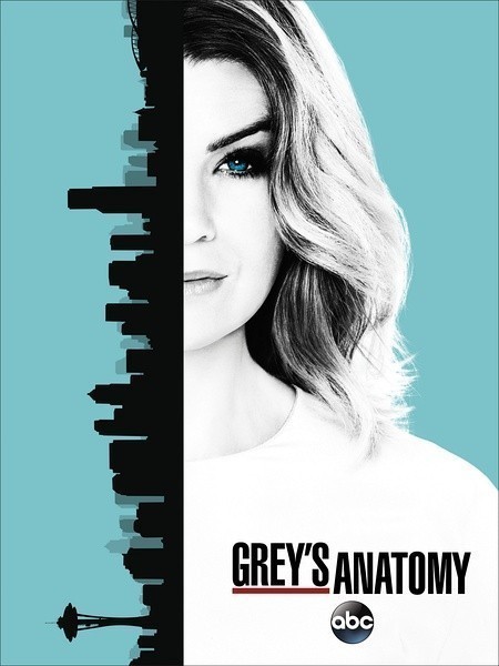 [实习医生格蕾/Greys Anatomy 第十三季][全24集]