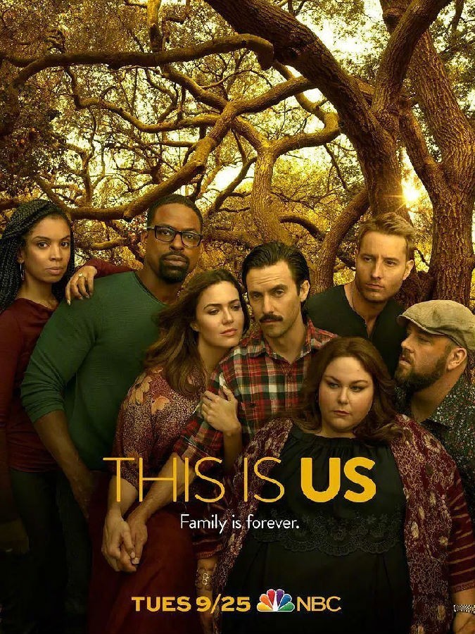 [我们这一天/我们的生活 This Is Us 第三季][18集全]