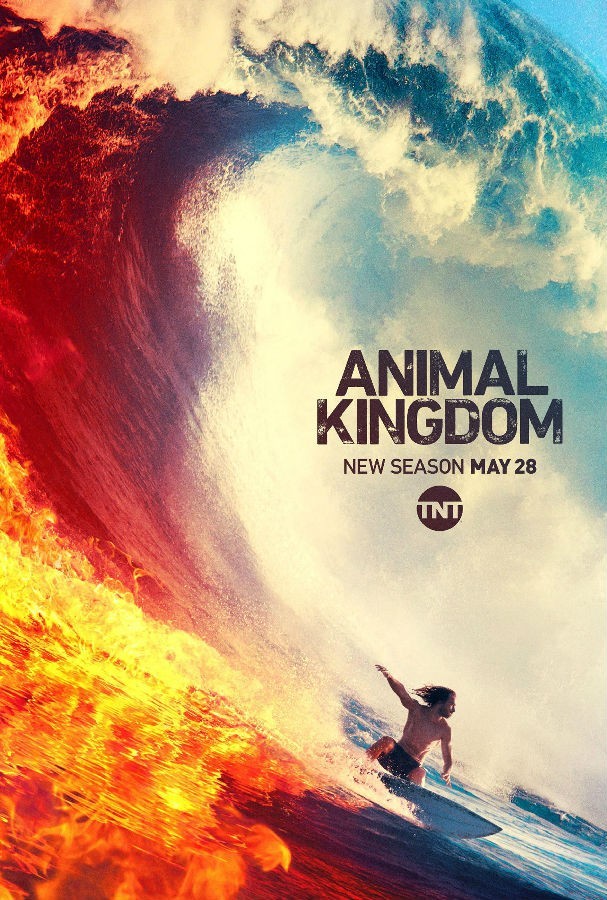 [动物王国/野兽家族/Animal Kingdom 第四季][全13集]