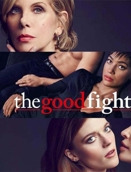 [傲骨之战/傲战法庭 The Good Fight 第三季][全10集]