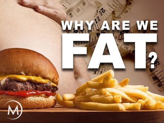 [胖自何方?/Why Are We Fat? 第一季][全03集]