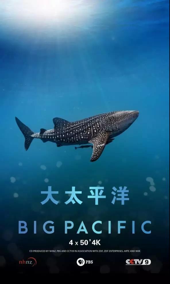 [大太平洋/Big Pacific 第一季][全05集]