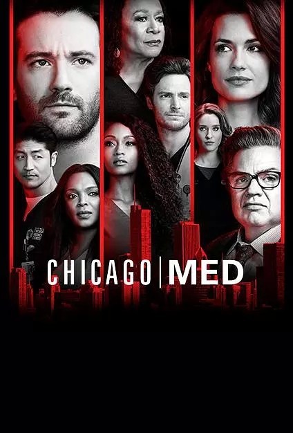 [芝加哥急救/芝加哥医院/Chicago Med 第四季][全22集]