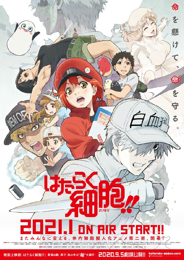 [工作细胞 Hataraku Saibou!! 第2季][全集][日语中字]