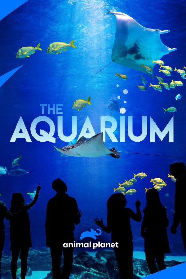 [水族馆/The Aquarium 第一季][全09集]