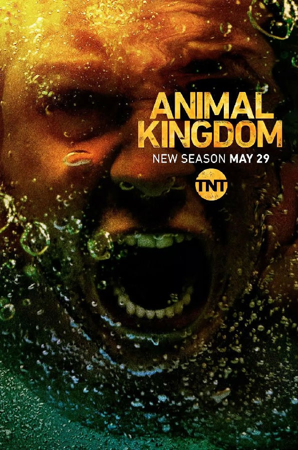 [动物王国/野兽家族/Animal Kingdom 第三季][全13集]